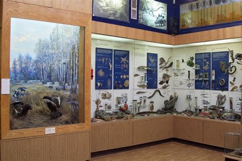 Биологический музей им тимирязева официальный сайт