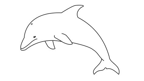 Дельфин рисовать
