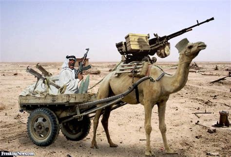 До наших дней в некоторых арабских странах существует верблюжья кавалерия кавалерист