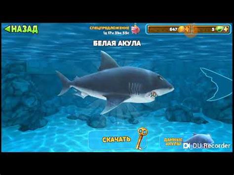 Игровая акула