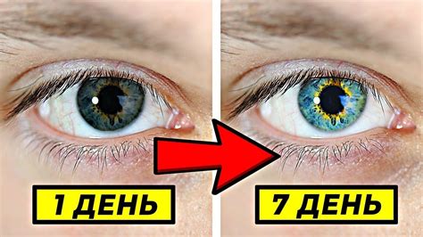 Как улучшить свое зрение