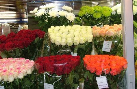 Купить цветы оптом