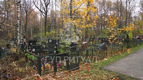 Лианозовское кладбище