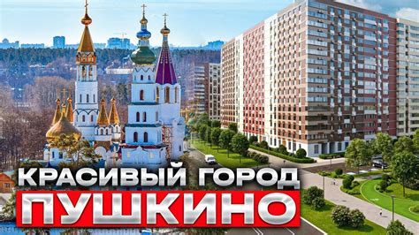 Мфц пушкино московской области официальный сайт