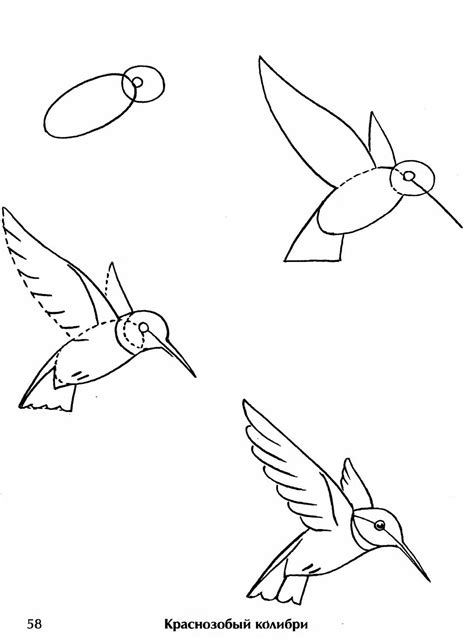 Нарисовать птицу