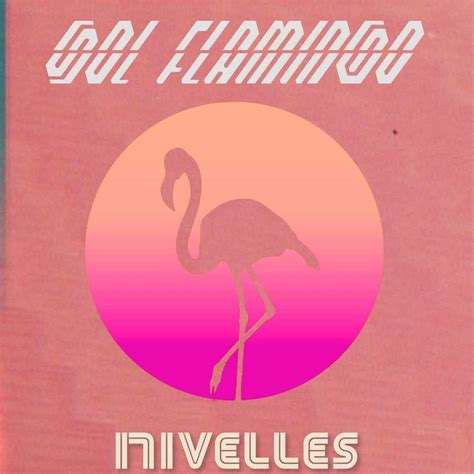 Песня розовый фламинго дитя заката