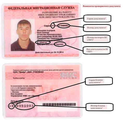 Проверить паспорт на действительность уфмс россии официальный сайт