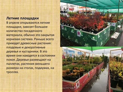 Садовые центры в москве