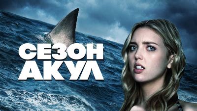 Сезон акул фильм 2020