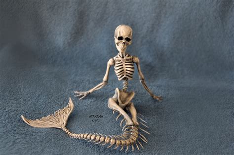 Скелет русалки