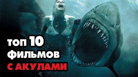 Фильмы про акул список лучших смотреть онлайн бесплатно в хорошем качестве