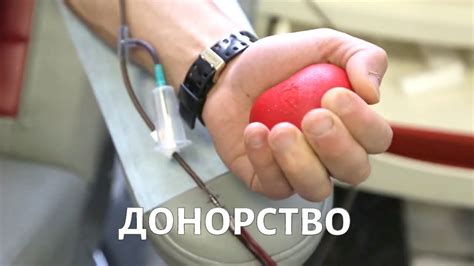 Что есть перед сдачей крови на донорство