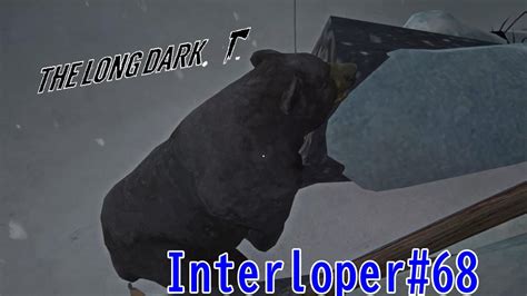 Interloper