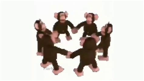 Monkey dance