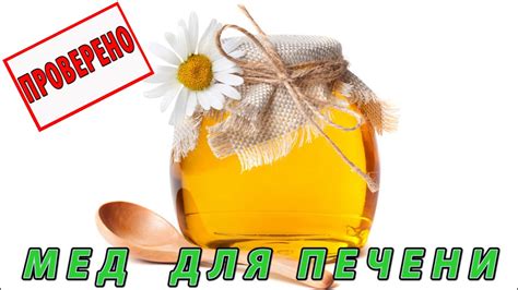 Полезен ли мед