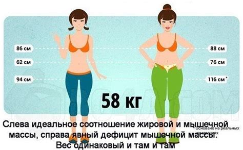 Процент жира в организме женщины