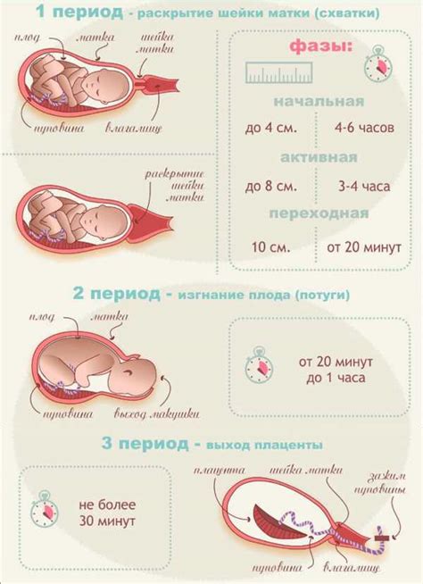 Через сколько начинаются месячные после родов